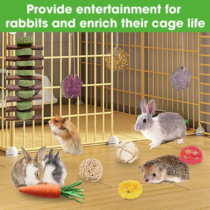 21 Pieces Rabbit Dental Chew Toys – Apple Wood Sticks, Timothy Hay Cakes for Teeth Care – Ideal for Rabbits, Hamsters, Chinchillas, and Gerbils