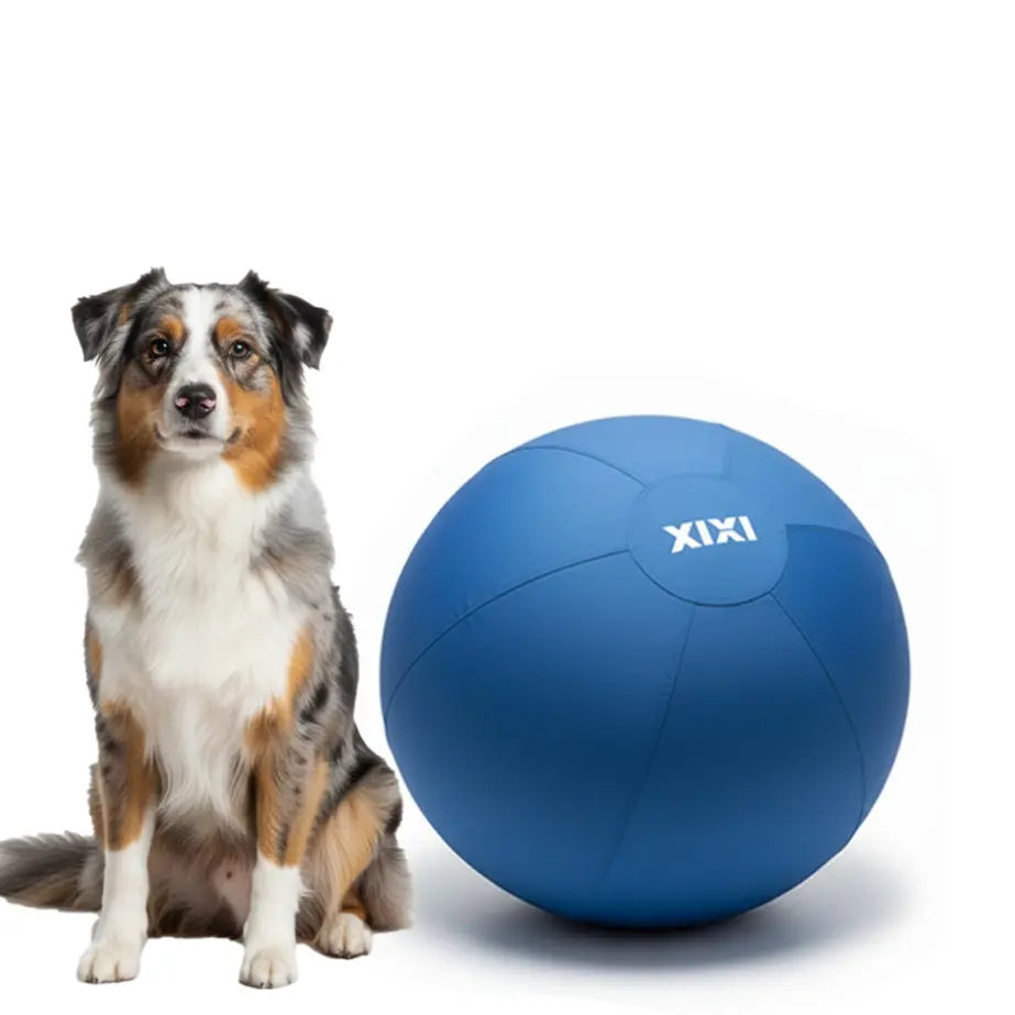 XIXI Inflatable Herding Ball for Dogs - Interactive Push & Chase Outdoor Toy - Durable Exercise Ball for High Energy Breeds&Summervibes