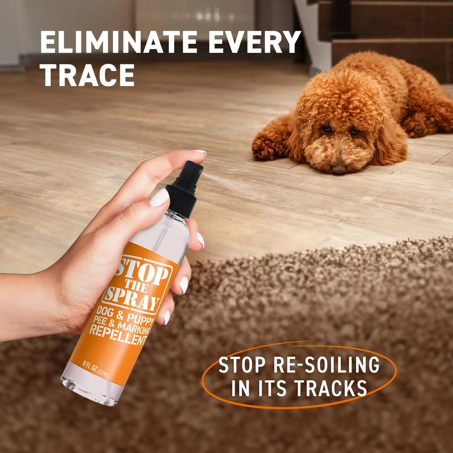 EBPP Stop the Spray - Dog & Puppy Pee Marking Repellent - Pet Training Spray - Puppy Potty Training Spray for Dogs - Dog Pee Stopper - Pee Deterrent for Dogs - No Marking Spray for Dogs Indoor