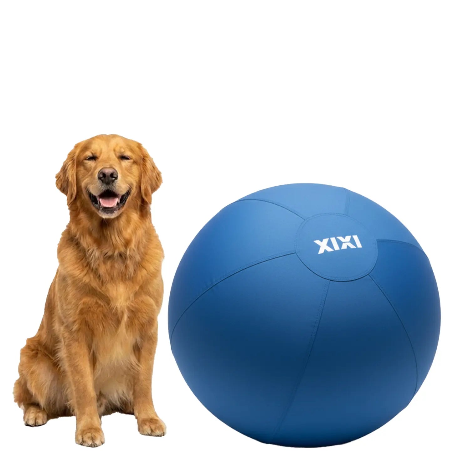 XIXI Inflatable Herding Ball for Dogs - Interactive Push & Chase Outdoor Toy - Durable Exercise Ball for High Energy Breeds&Summervibes