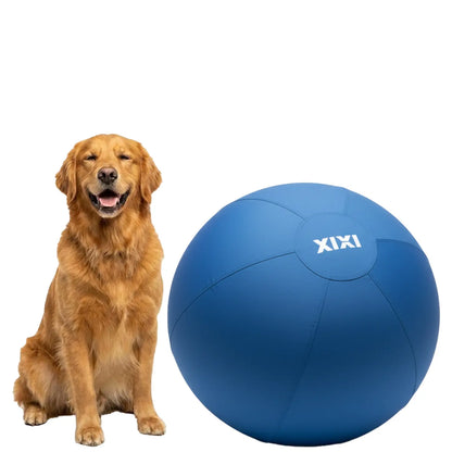 XIXI Inflatable Herding Ball for Dogs - Interactive Push & Chase Outdoor Toy - Durable Exercise Ball for High Energy Breeds&Summervibes