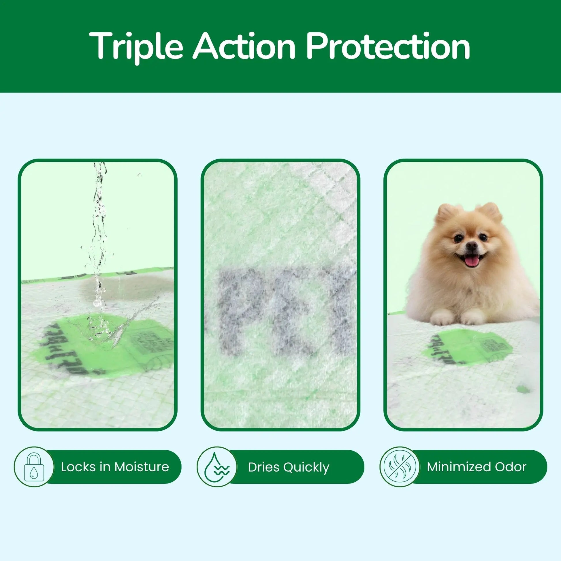 Pet N Pet 50 Count Puppy Training Pads – 48% USDA Certified Plant-Based Dog Pee Pads, Unscented, Super Absorbent & Leak-Proof
