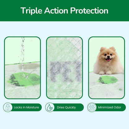Pet N Pet 50 Count Puppy Training Pads – 48% USDA Certified Plant-Based Dog Pee Pads, Unscented, Super Absorbent & Leak-Proof