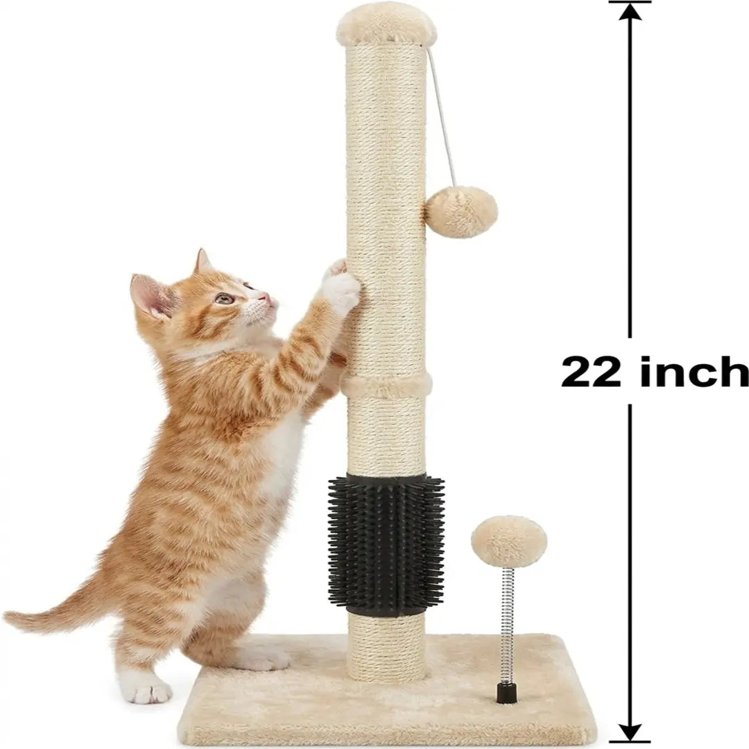 Pawrino Tall Cat Scratching Post – Sisal Scratching Post for Indoor Cats, Stable Base, Full Sisal Coverage, Replaceable Toy Wand