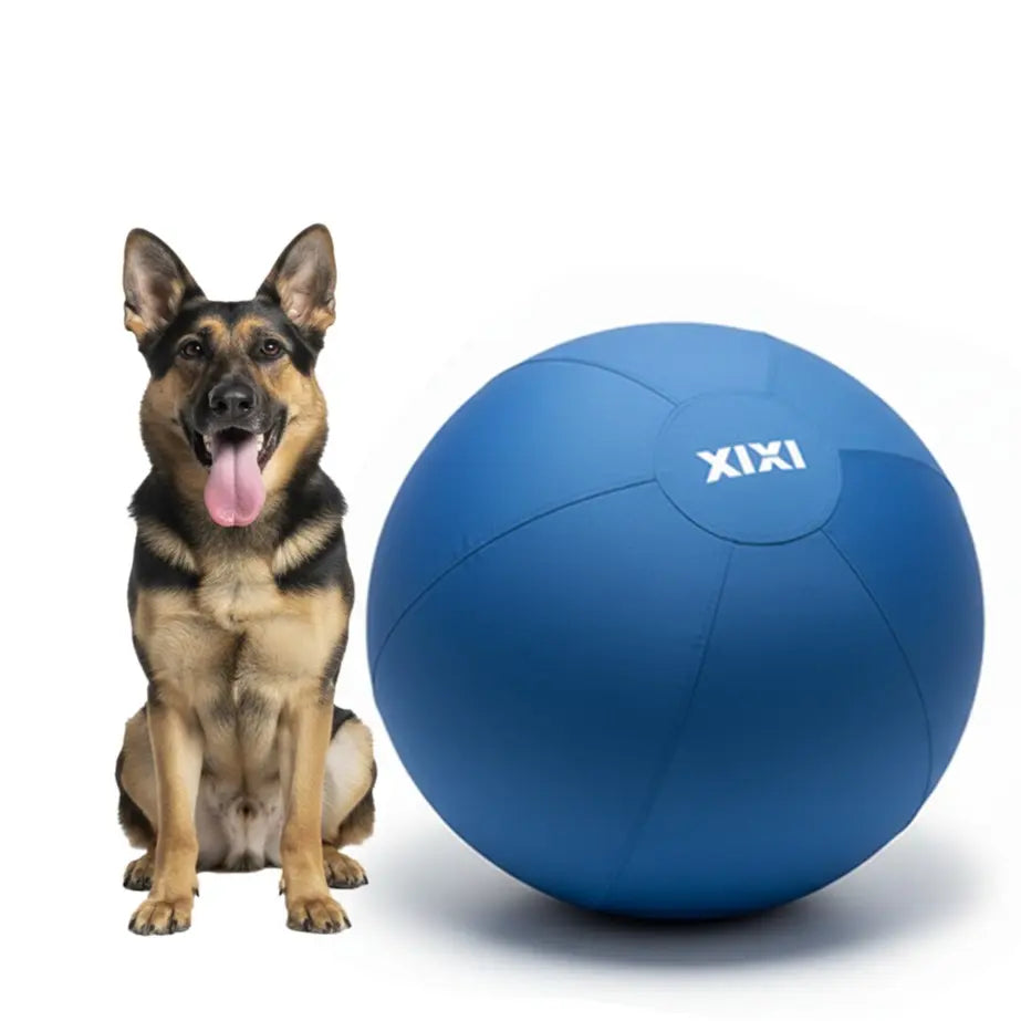 XIXI Inflatable Herding Ball for Dogs - Interactive Push & Chase Outdoor Toy - Durable Exercise Ball for High Energy Breeds&Summervibes
