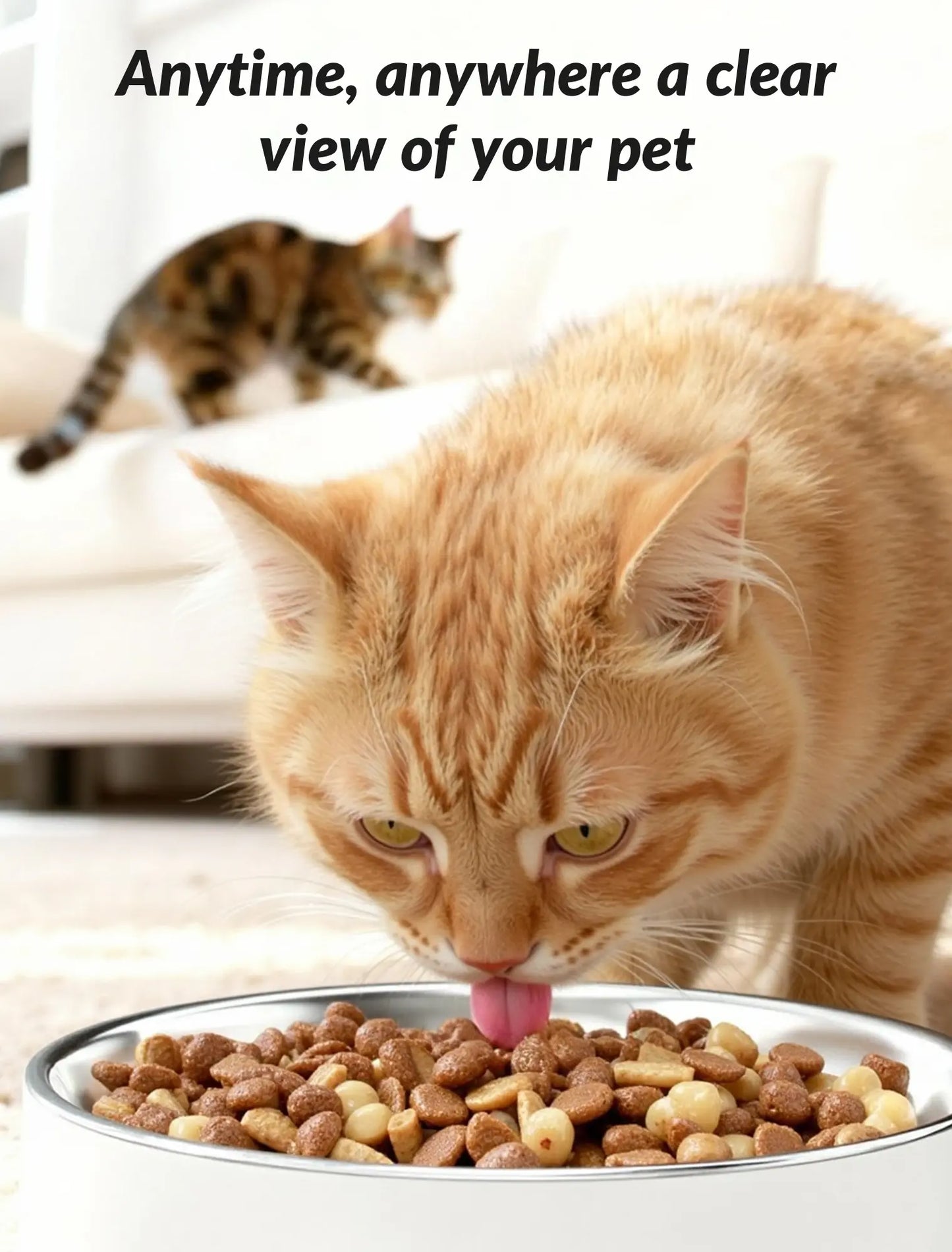 Automatic Cat Feeder with Camera, 5L Timed Cat Food Feeder,2-Way Audio & App Remote Control,Desiccant Bag,Auto Pet Dispenser for Cats and Dogs