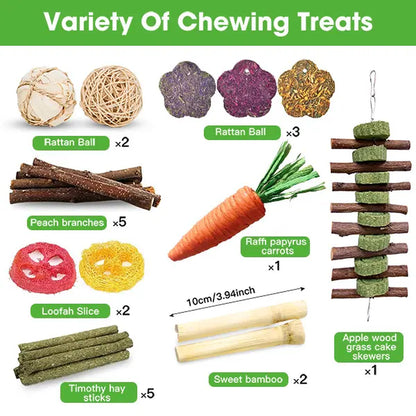 21 Pieces Rabbit Dental Chew Toys – Apple Wood Sticks, Timothy Hay Cakes for Teeth Care – Ideal for Rabbits, Hamsters, Chinchillas, and Gerbils