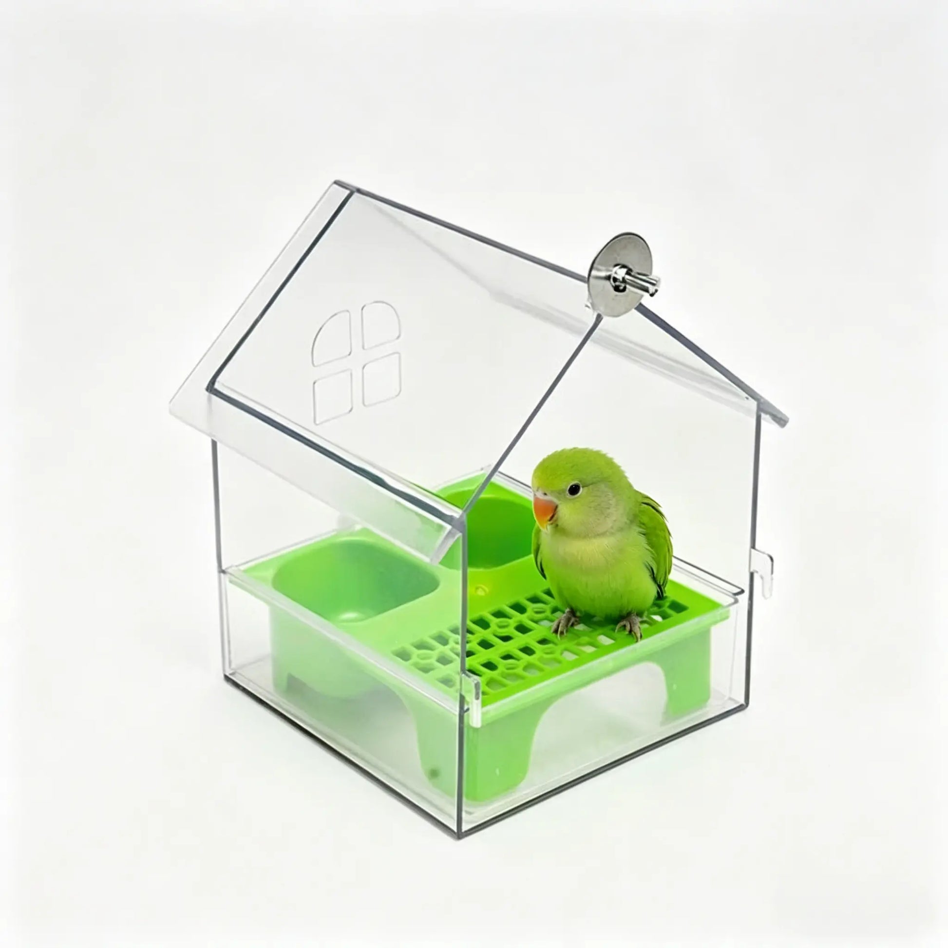 All-In-One Parrot Feeder & Bath with Panoramic Pull-Out Drawer