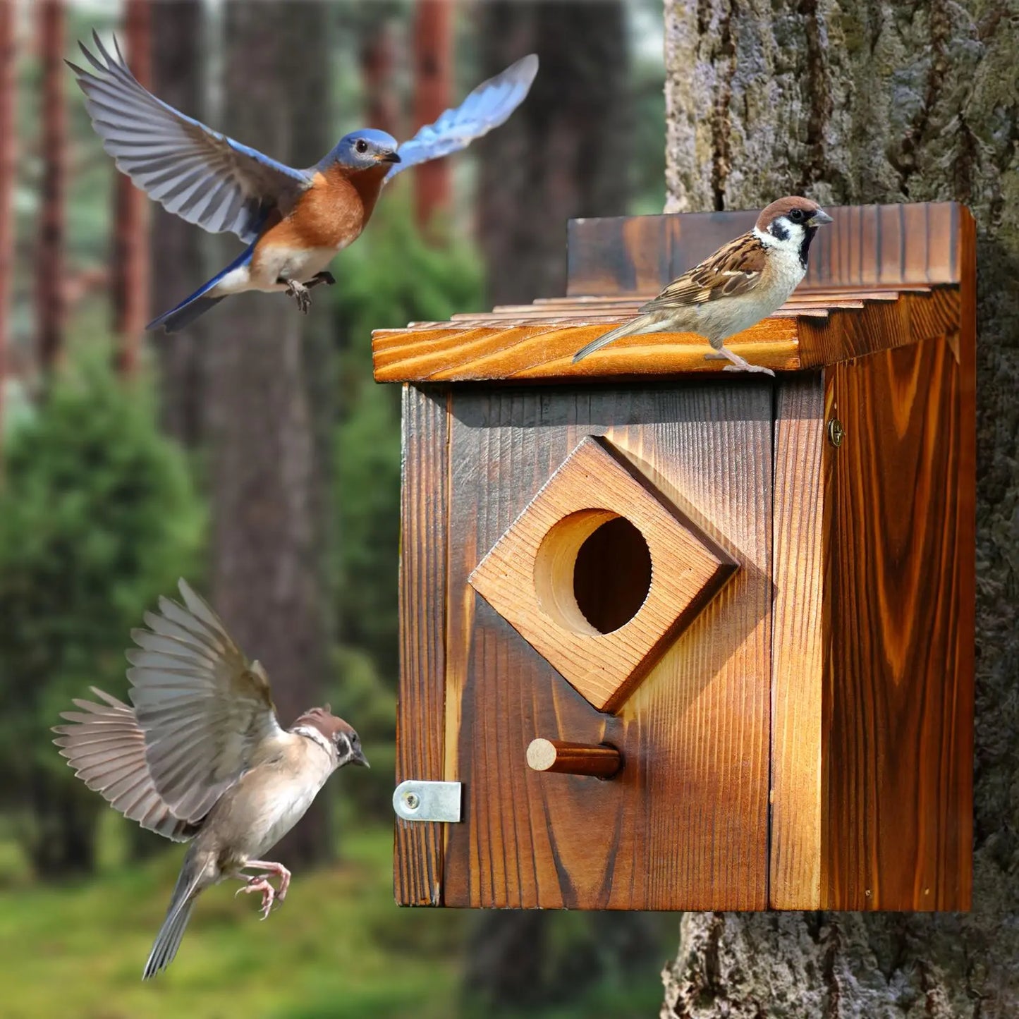 Waterproof Wooden Blue Bird House, Weather Treated Bluebird Box Houses for Outdoors, Nesting Box for Wrens, Swallows, Finches, Chickadee,Summervibes